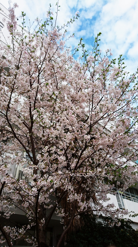 f:id:jijikokkoku:20170408174624j:plain