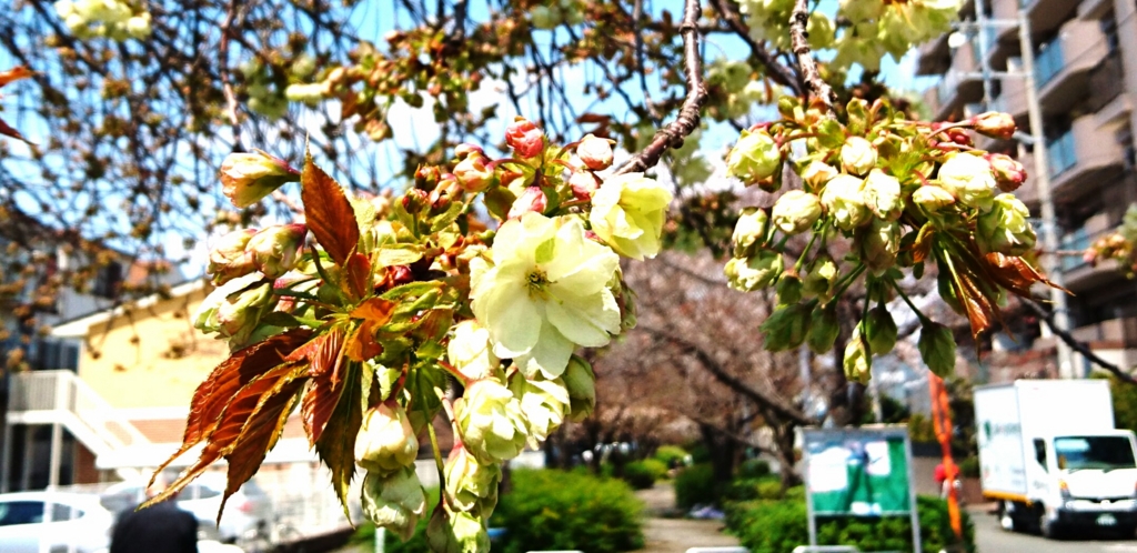 f:id:jijikokkoku:20170413213049j:plain