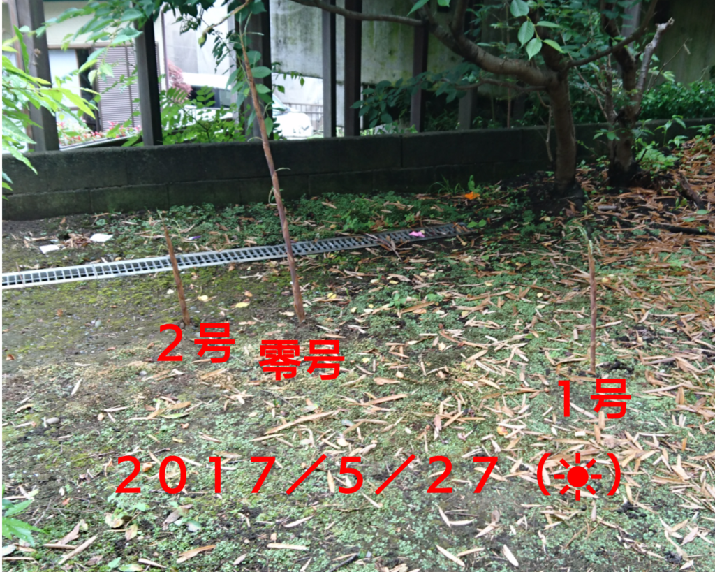 f:id:jijikokkoku:20170528150159p:plain